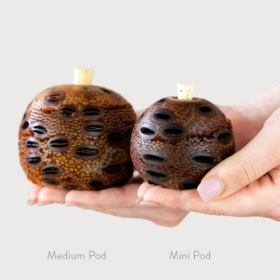 Aroma Pod Diffuser - Medium