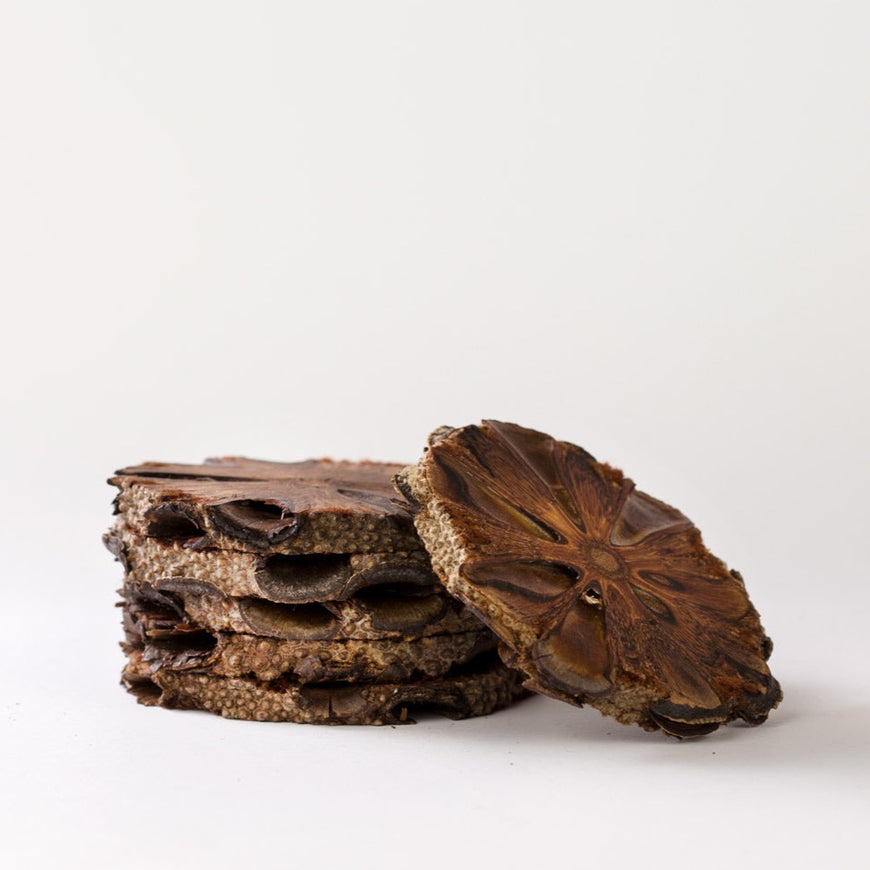 Banksia Drink Coasters work in just the same way as Aroma pods with their porous nature.  